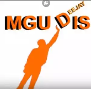 DJ Mgudis - Sfunubumnandi